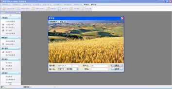 面业专家面粉厂管理系统V2012官方绿色版 实现高效生产与外围设备智能管理